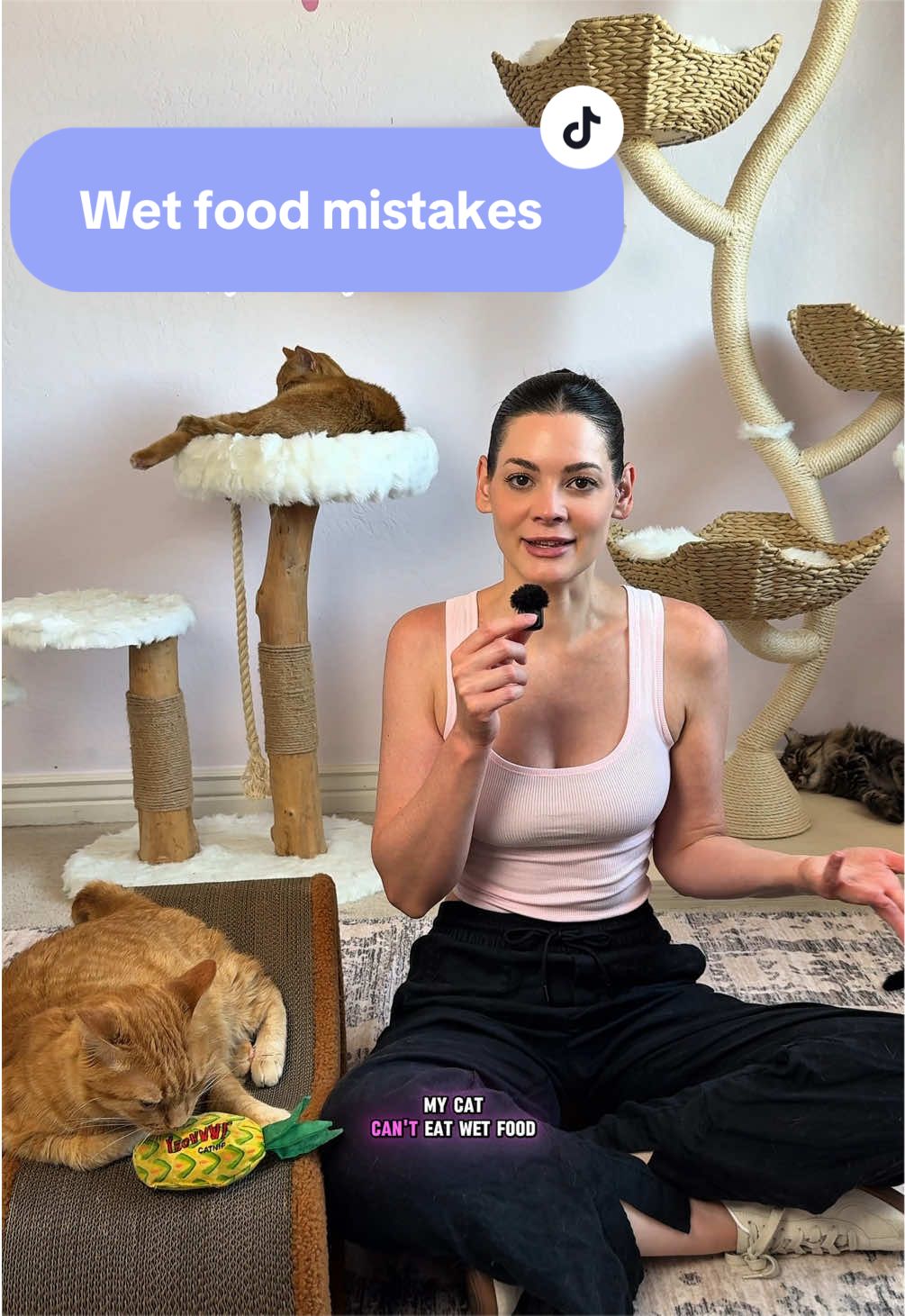 @Feminist Kitty | Cat Nutrition