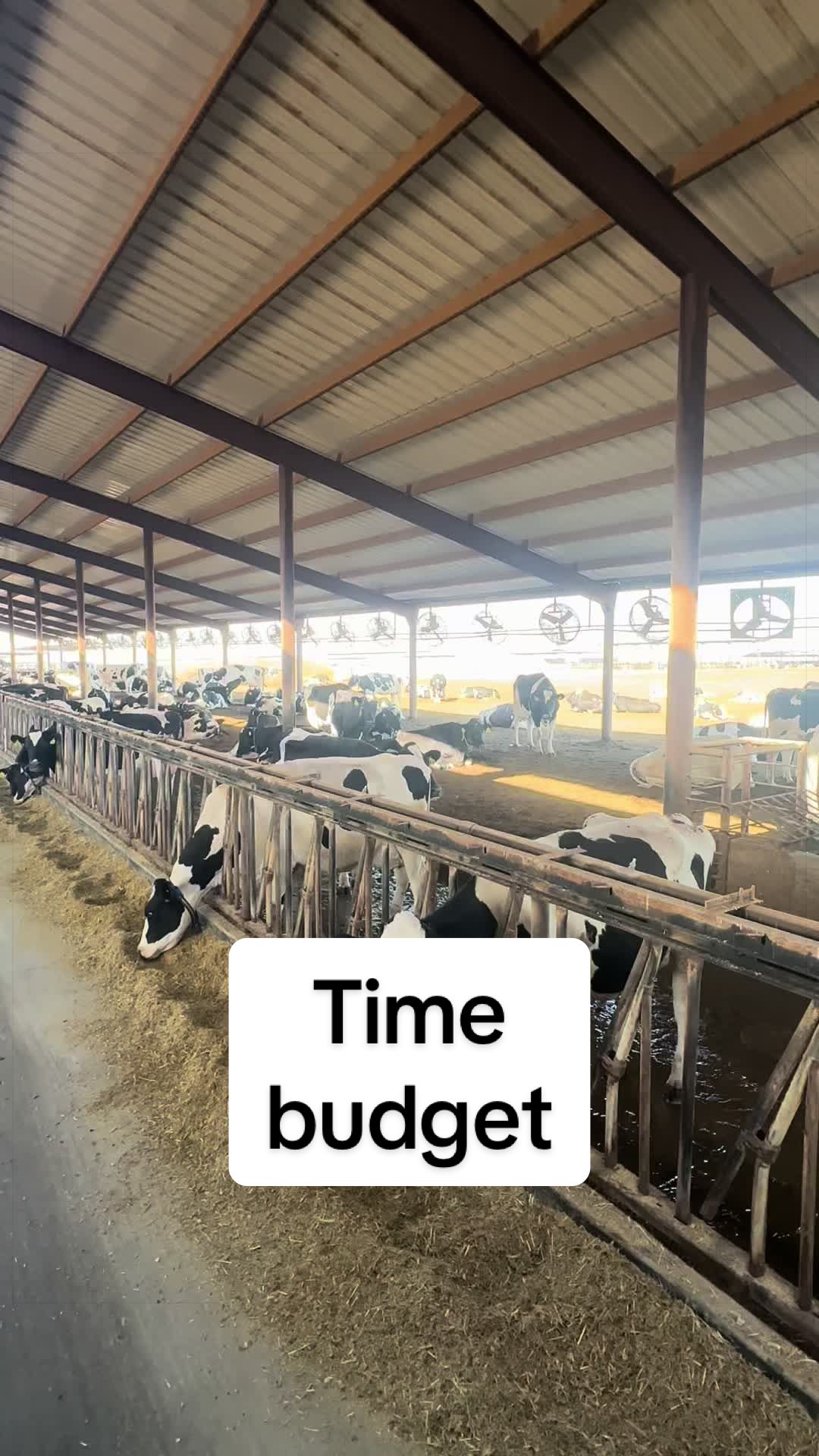 @Dairy Vet Dr. Michelle