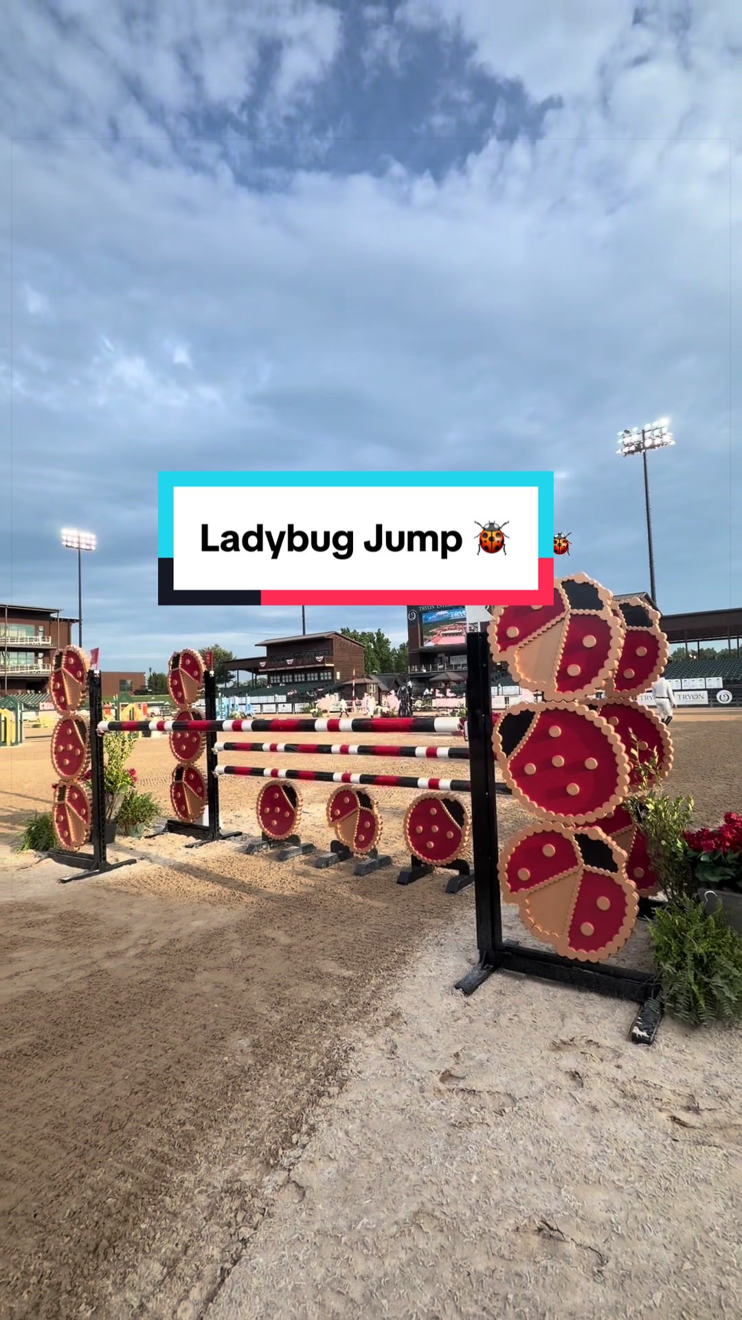 @Dalman Jump Co