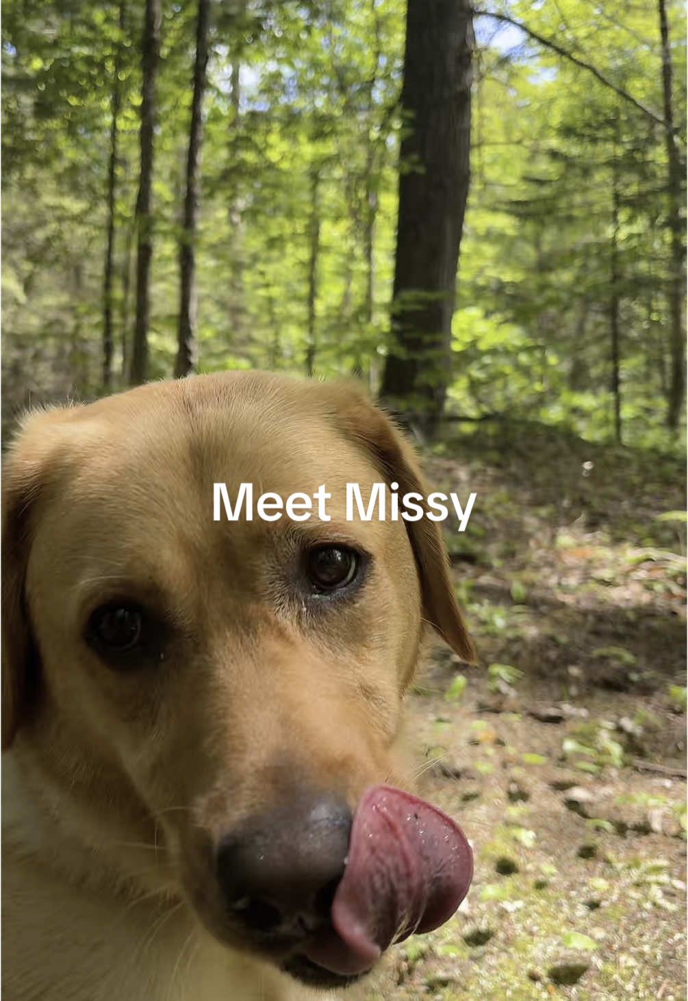 @Browndoginn
