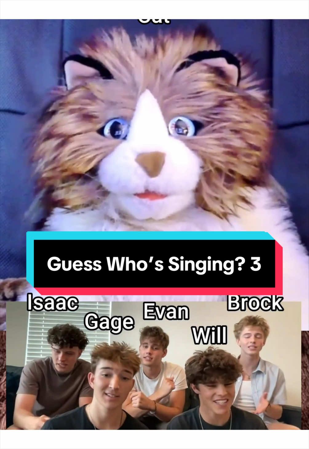 @PeterPrankster