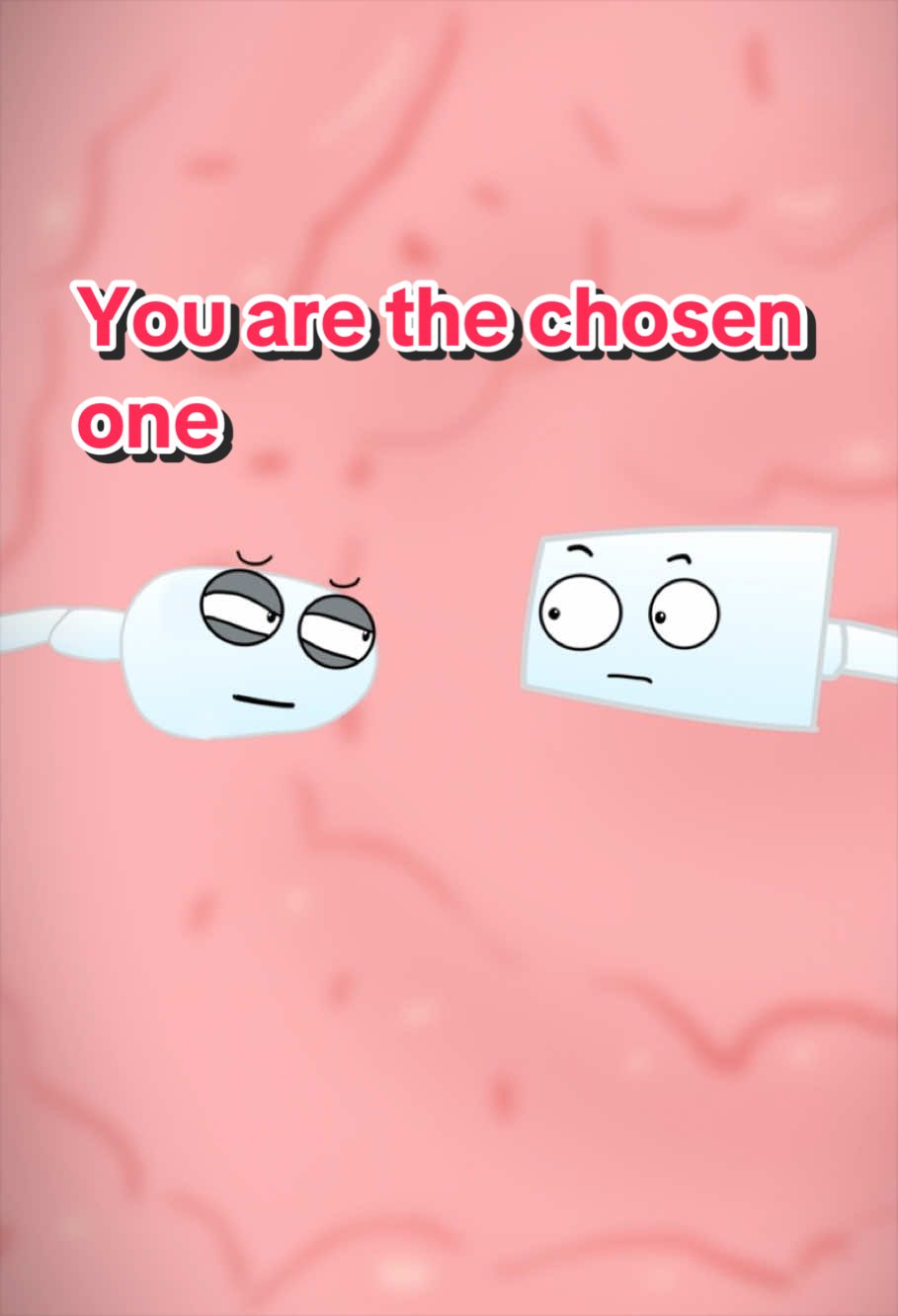@Funny Animations