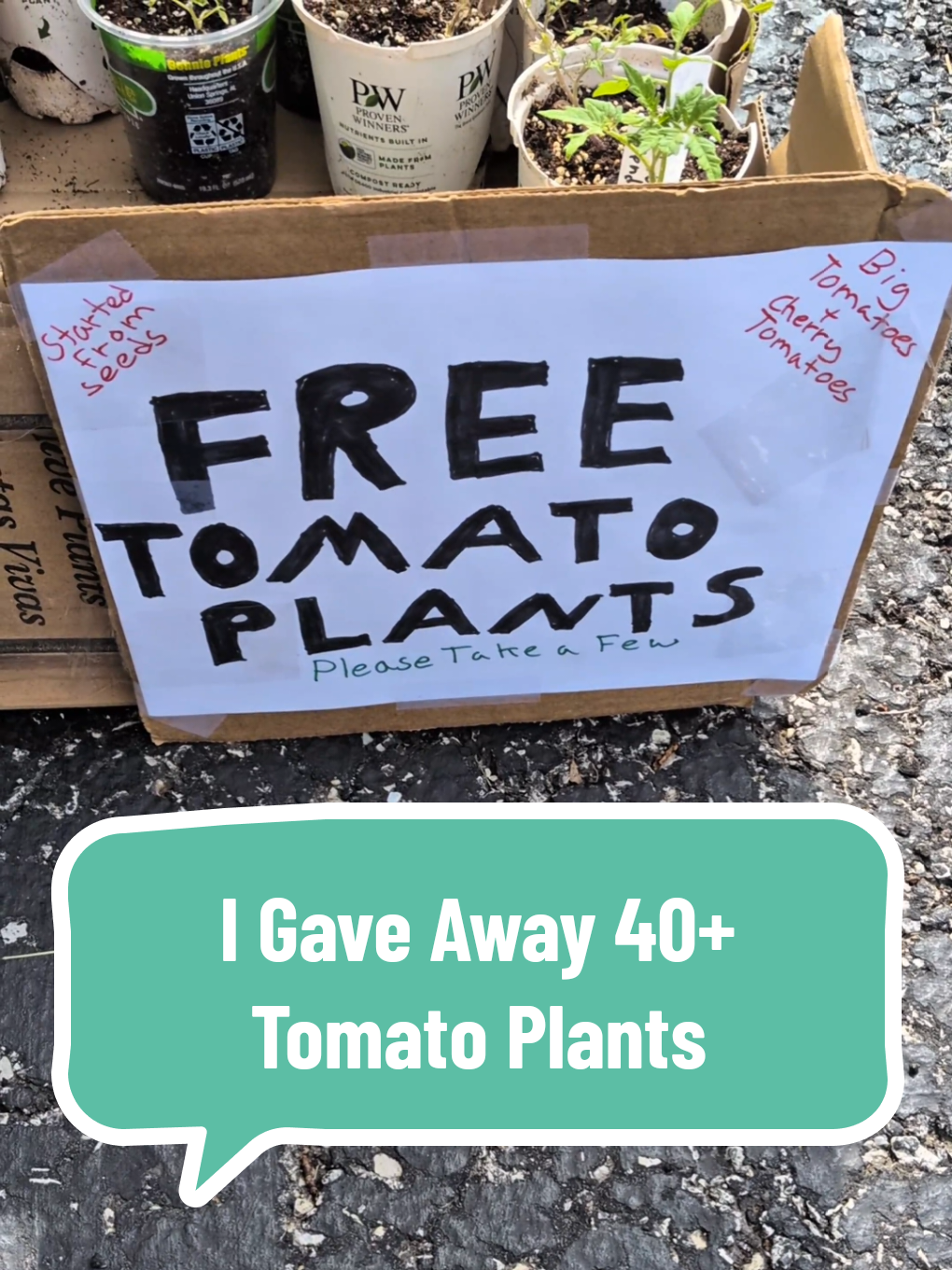 @The Plantiful Gardener