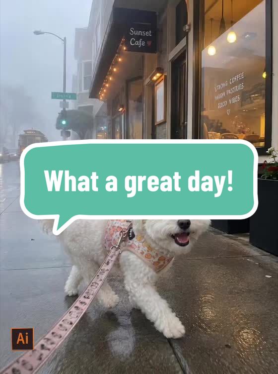 @Coco_puppysf