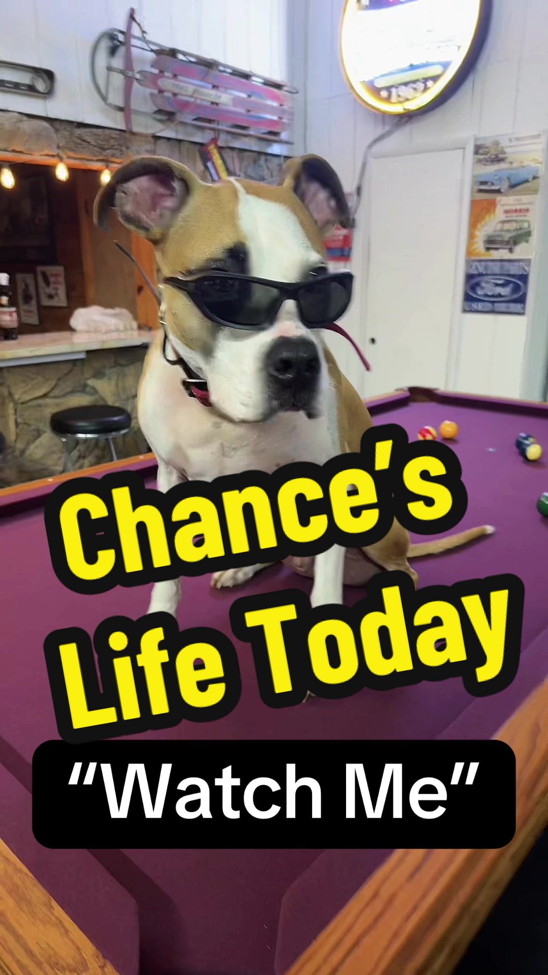 @Chance and Co