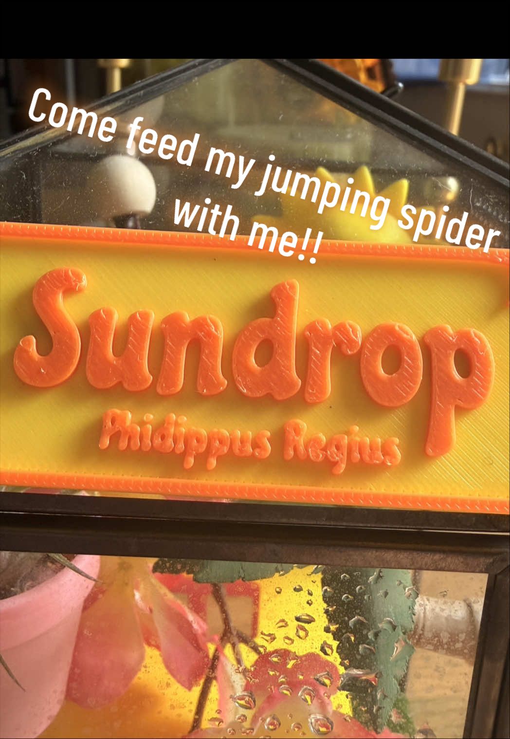 @RachelKeny