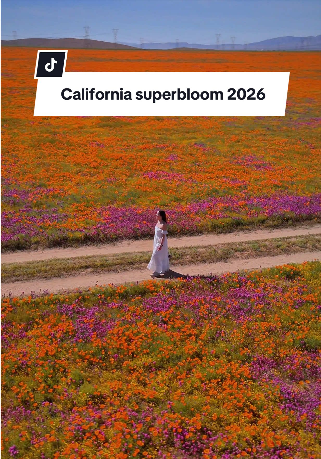 @Asya • Travel + California