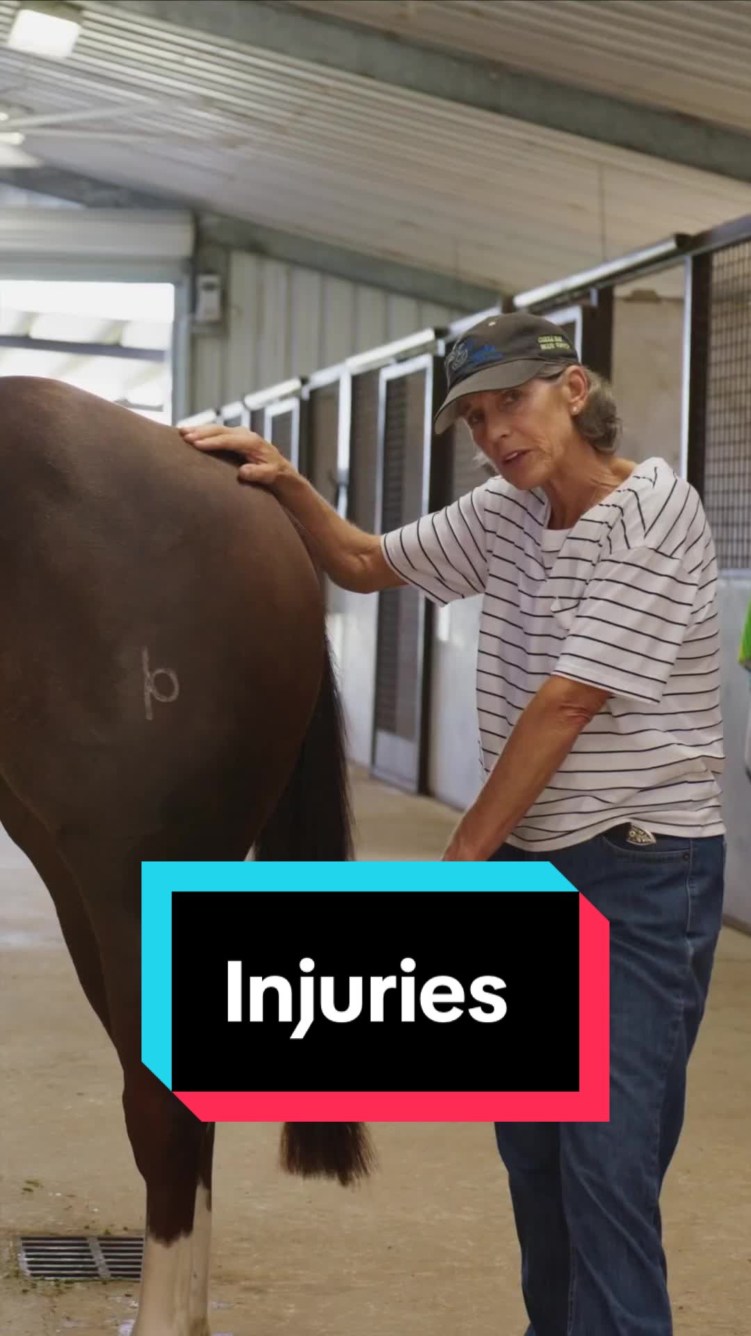 @Fit Equine