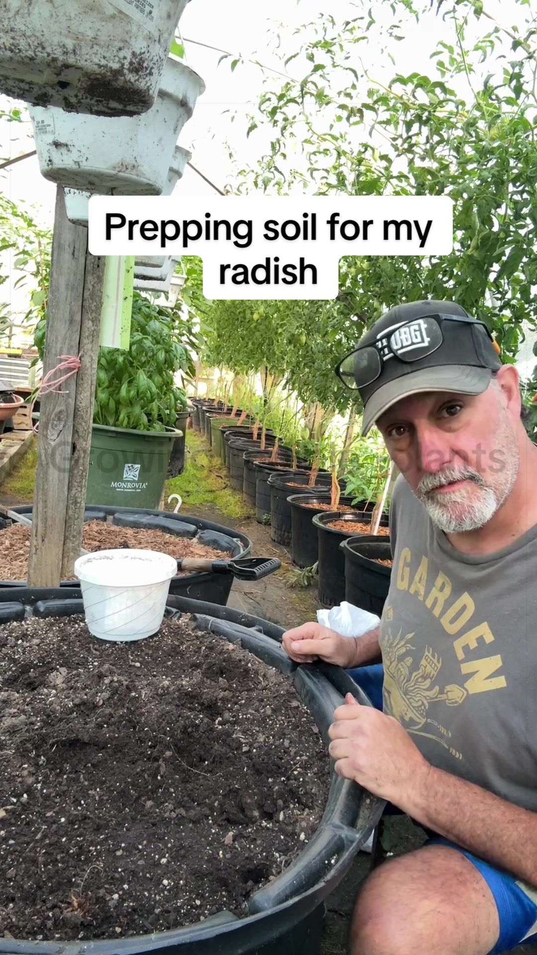 @GROWING_EDIBLE_PLANTS