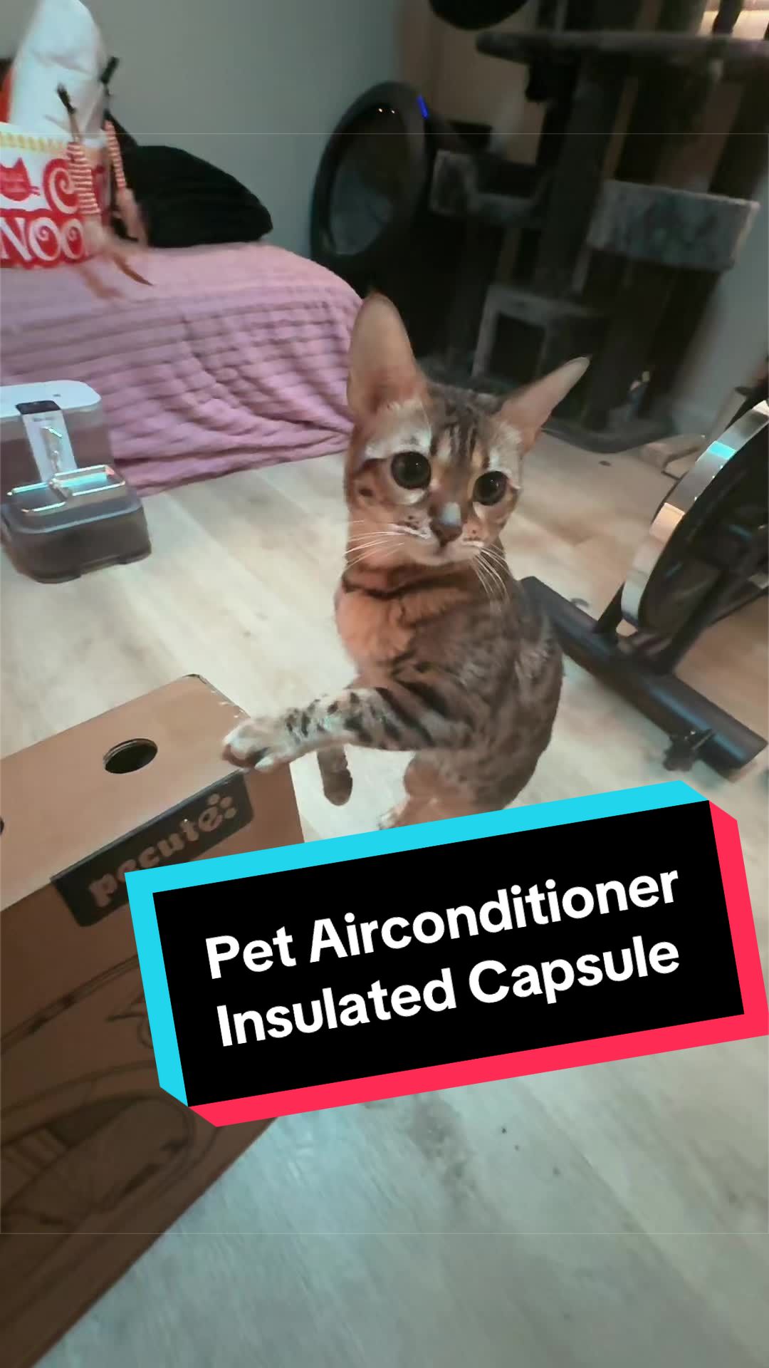@Jason Norcross 🏳️&zwj;🌈🏳️&zwj;🌈