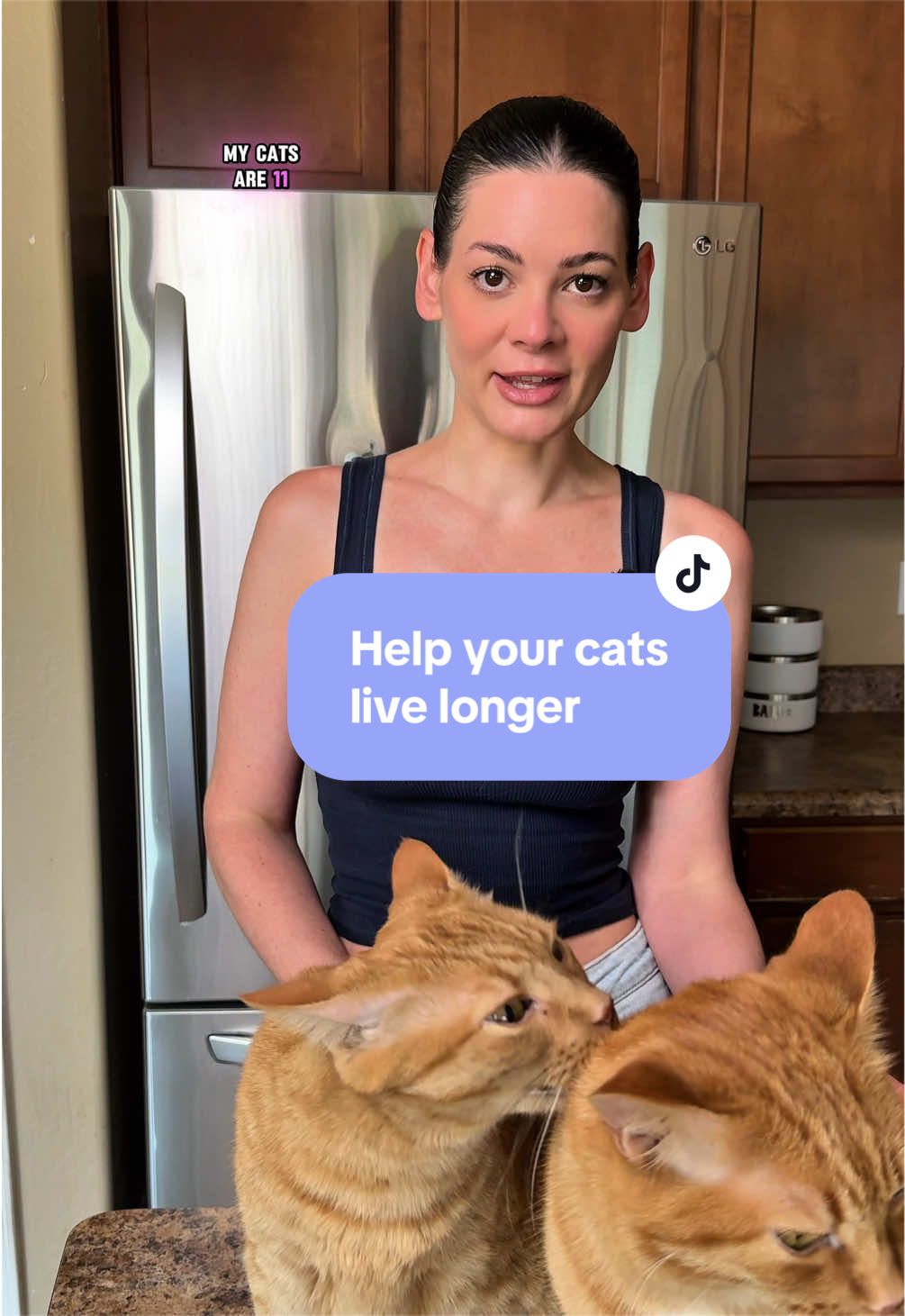 @Feminist Kitty | Cat Nutrition