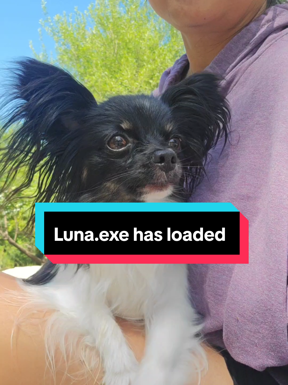 @TheLittleLunaBean