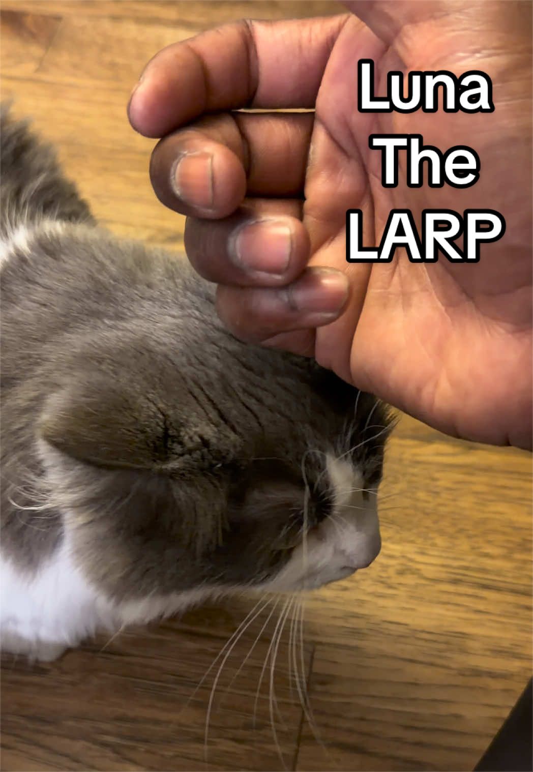 @ThatMrJohnson