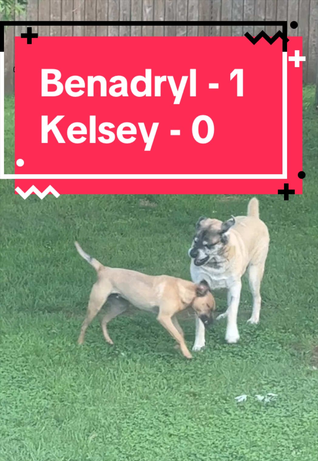 @Kelsey