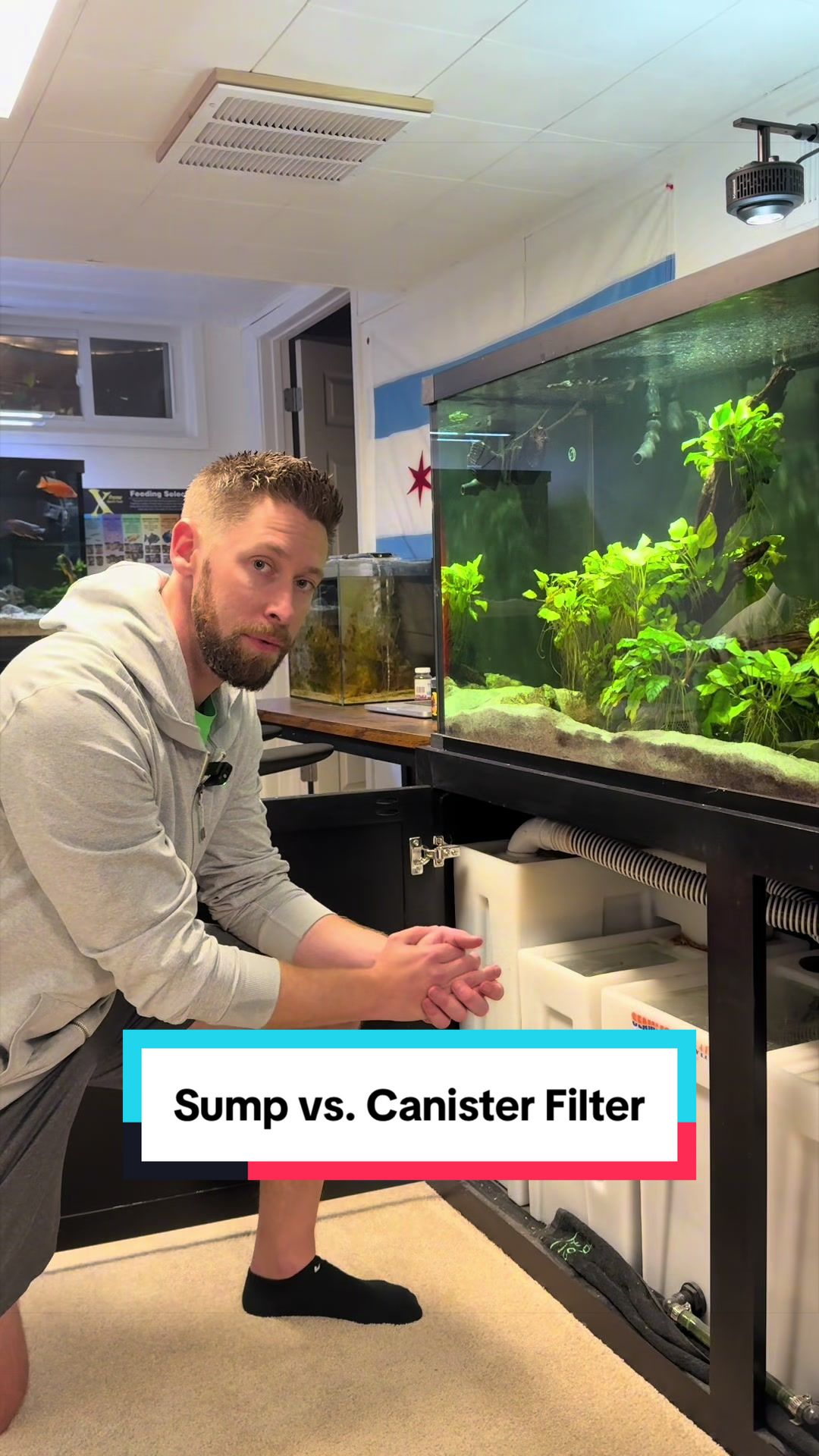 @Cichlid Bros