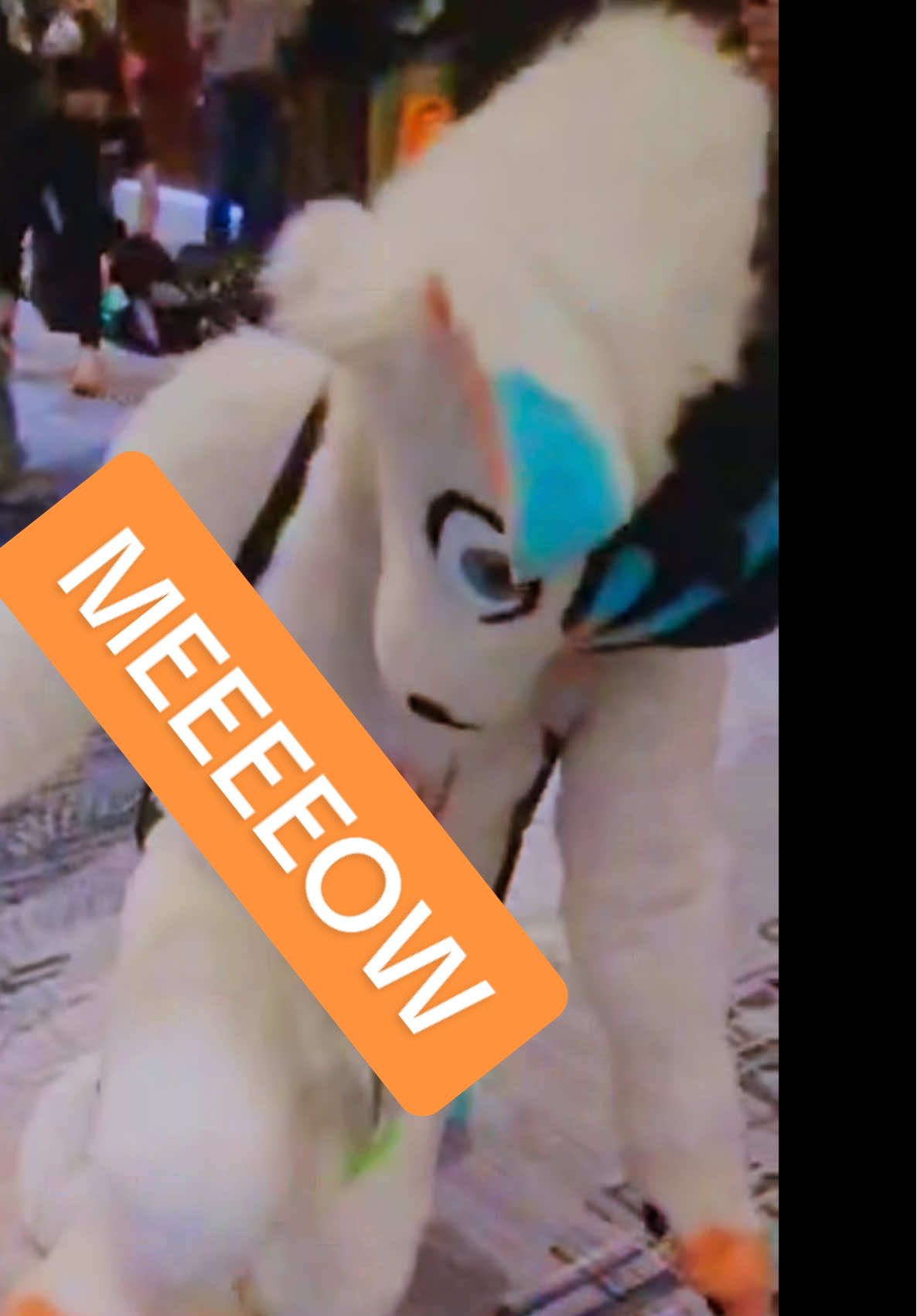 @🧶HƎЯO🙀