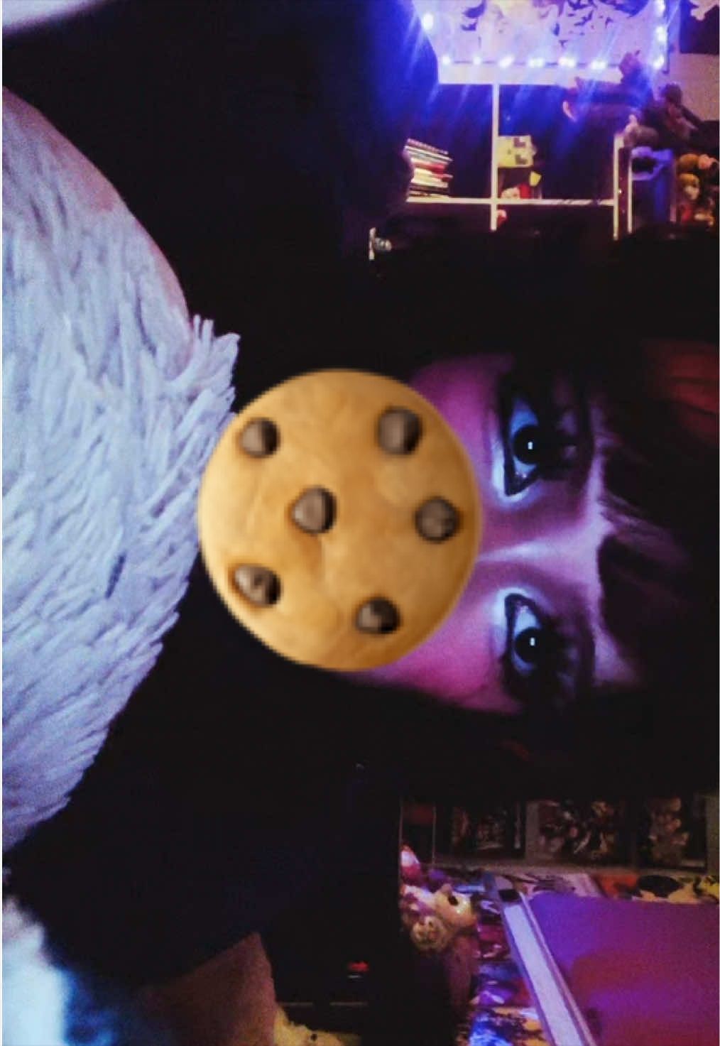 @chicken-nuggets