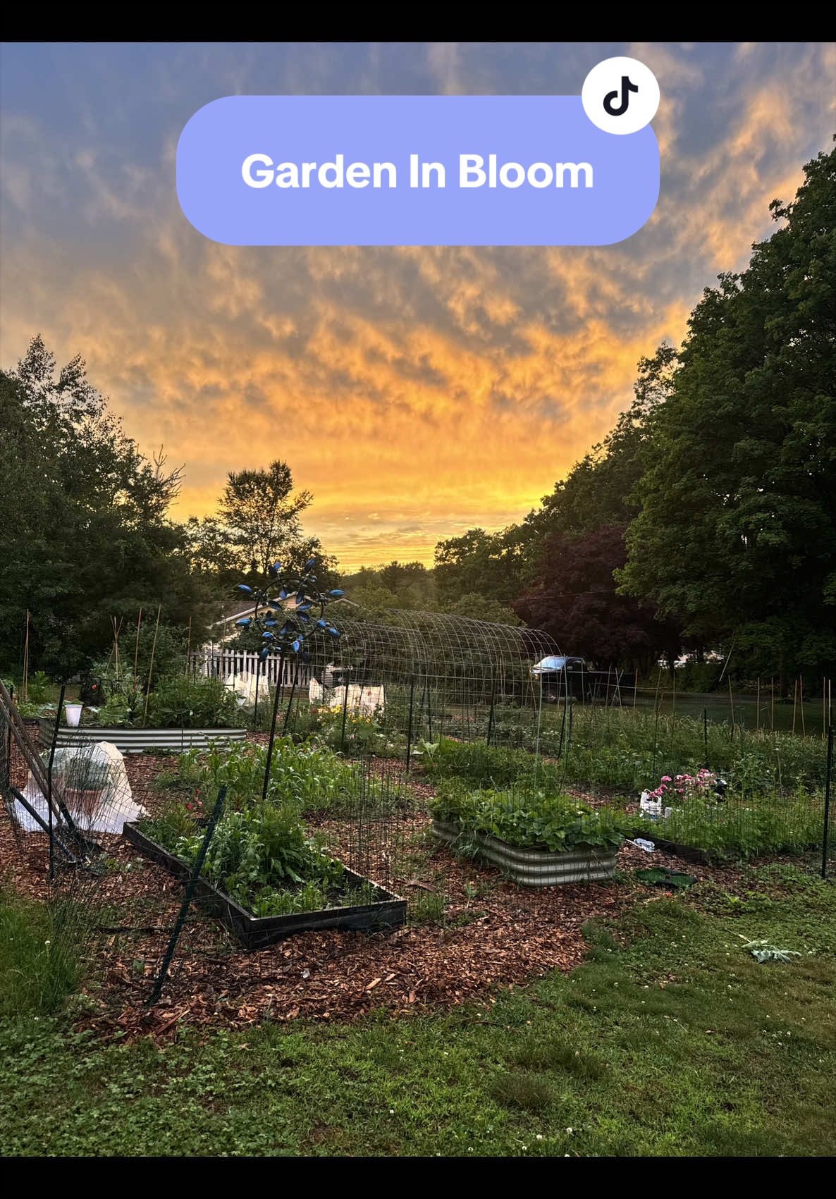 @Manica | zone 6a gardener