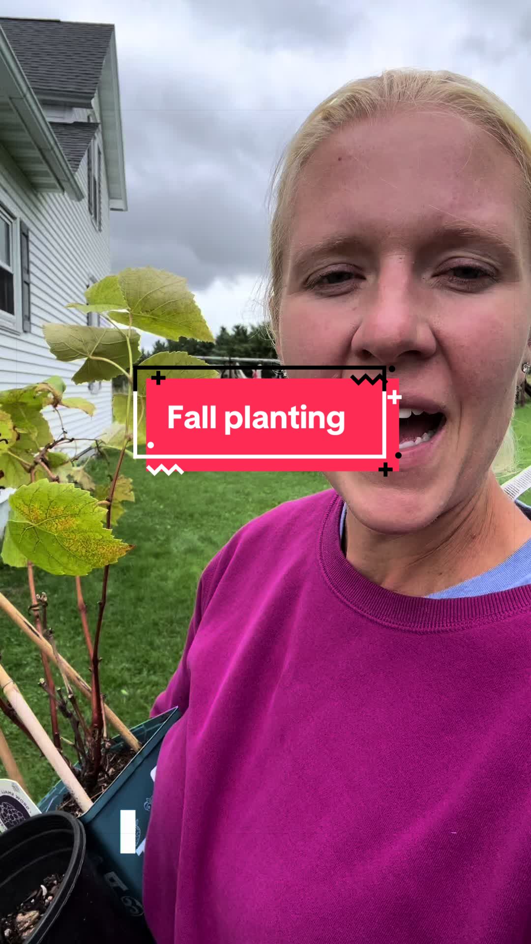 @littlesandycreekfarm