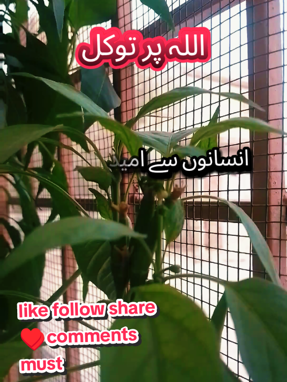 @𝐃𝐞𝐞𝐧𝐞𝐚𝐧𝐛𝐢𝐲𝐚