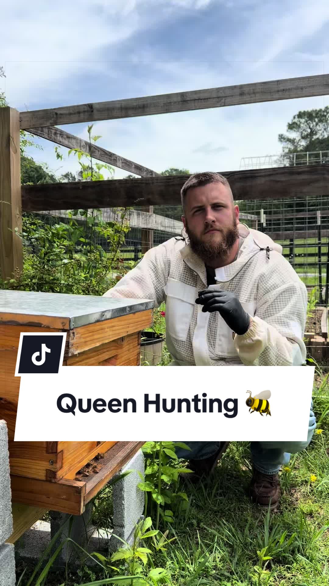 @Bandrhomestead
