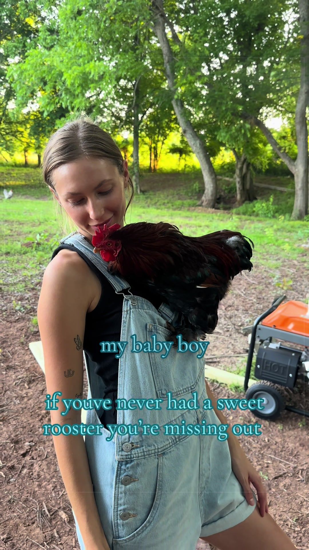 @meg&rsquo;s mini farm