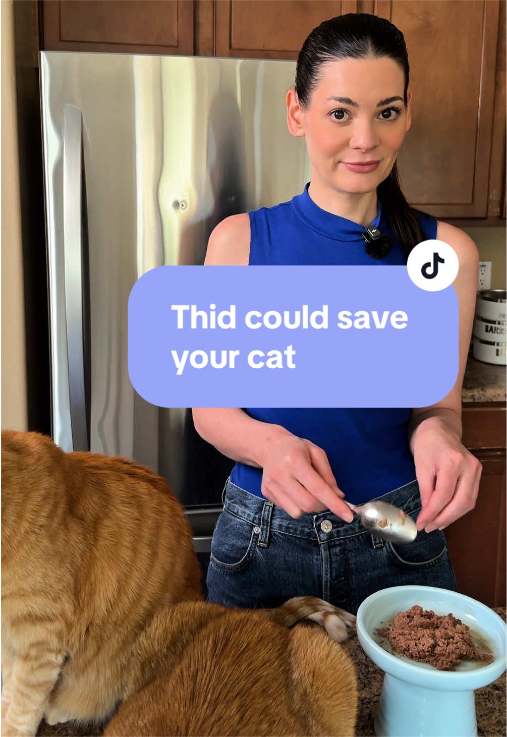 @Feminist Kitty | Cat Nutrition