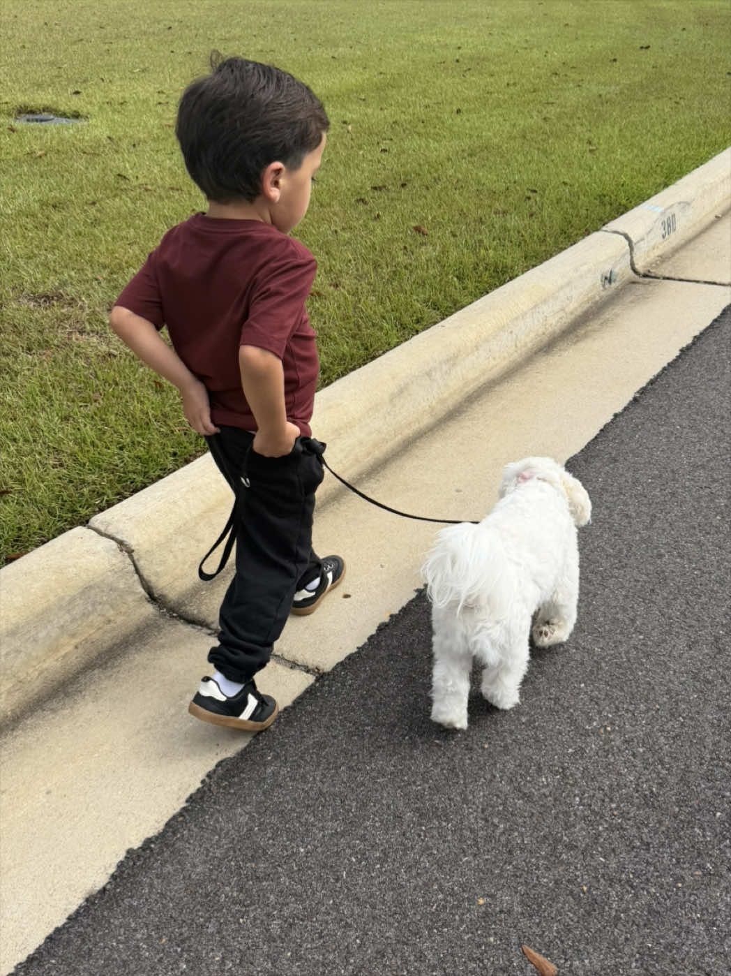 @𝓐𝓭𝓻𝓮𝓷𝓪