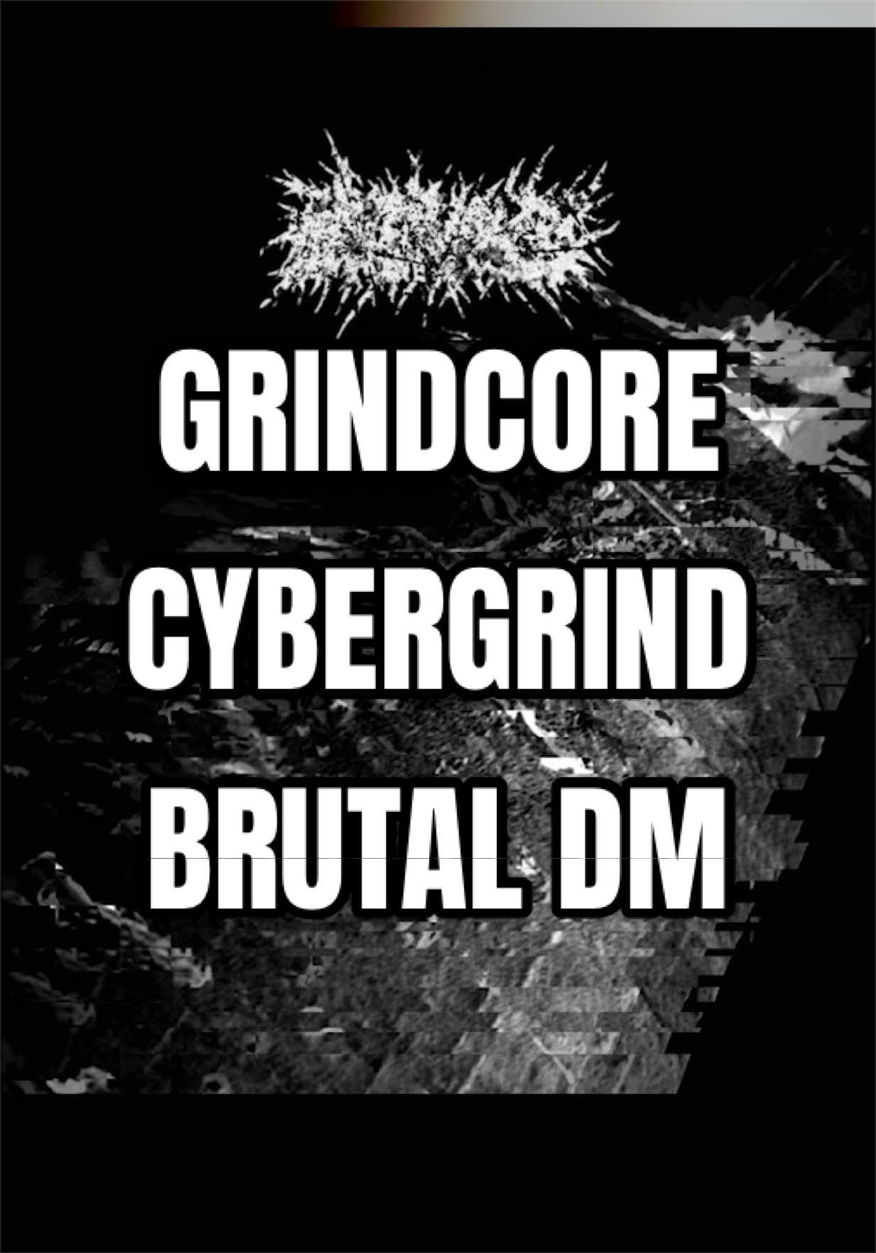 @Pit Check