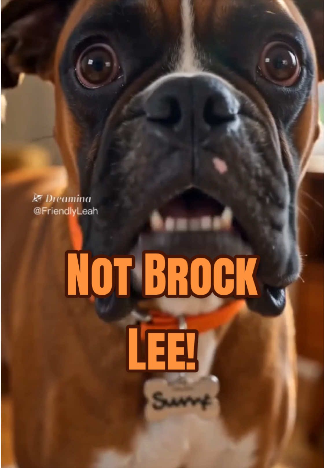 @FriendlyLeah