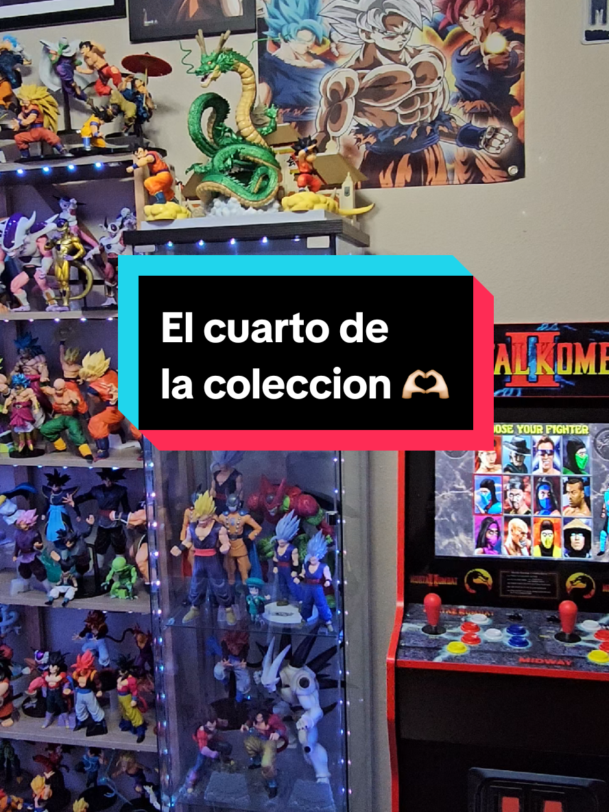 @Aleman's Collection