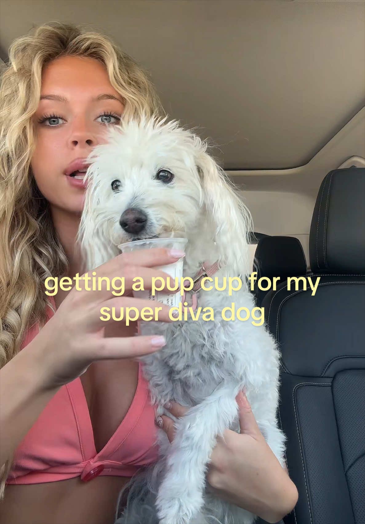 @Nat Anderson