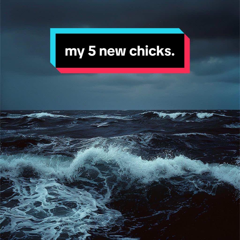 @★𝓼𝓪𝓷𝓭𝔂★
