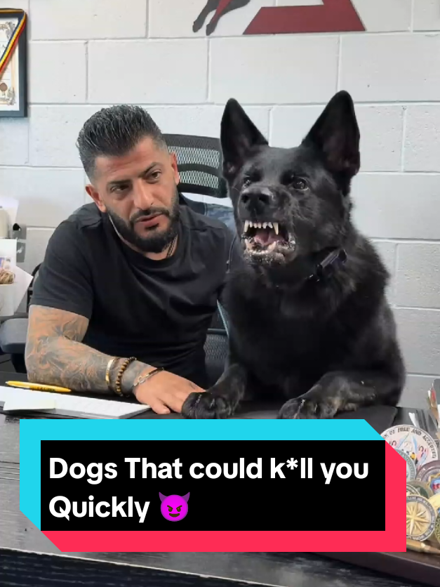 @Richy Beast