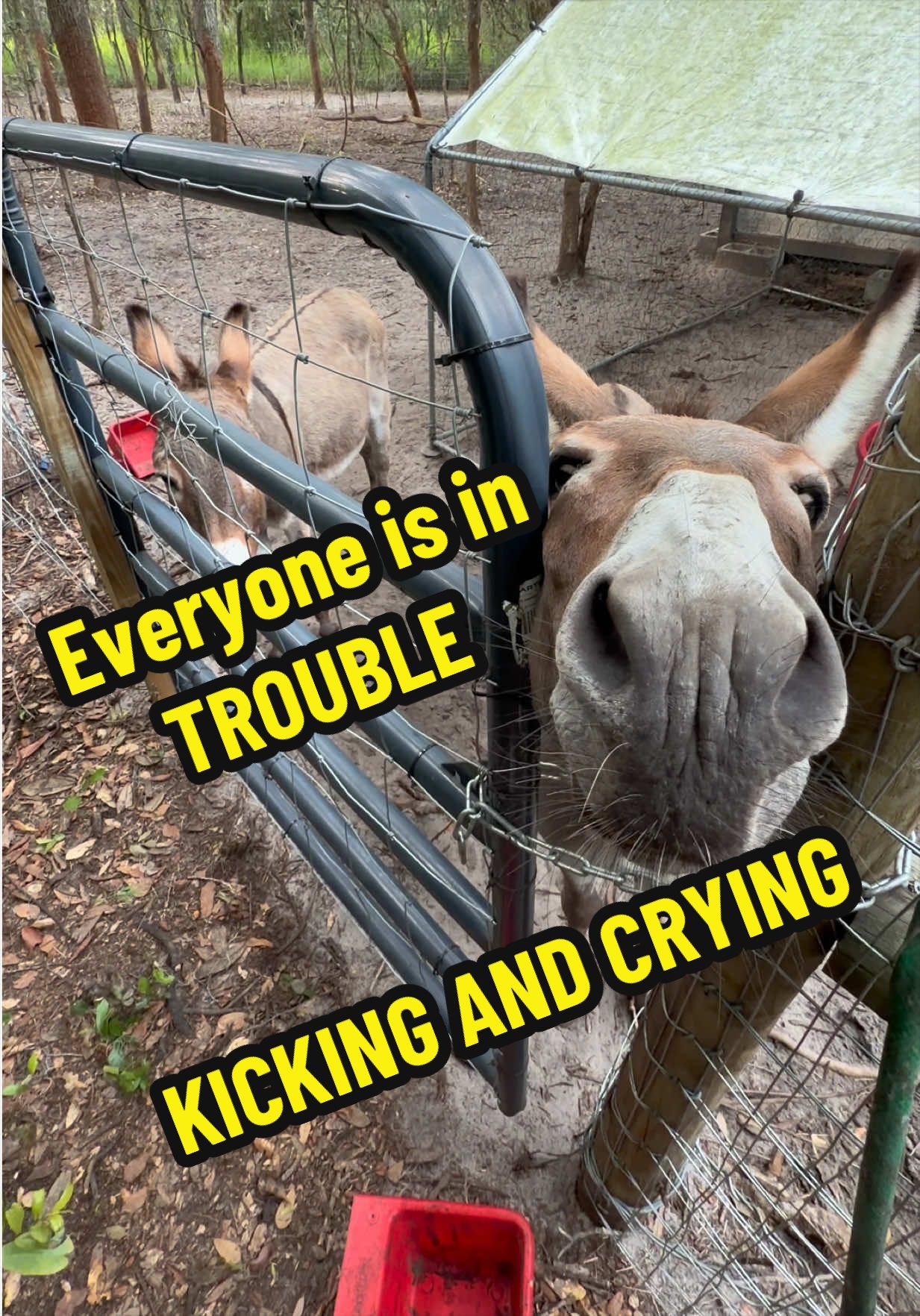 @R Ranch