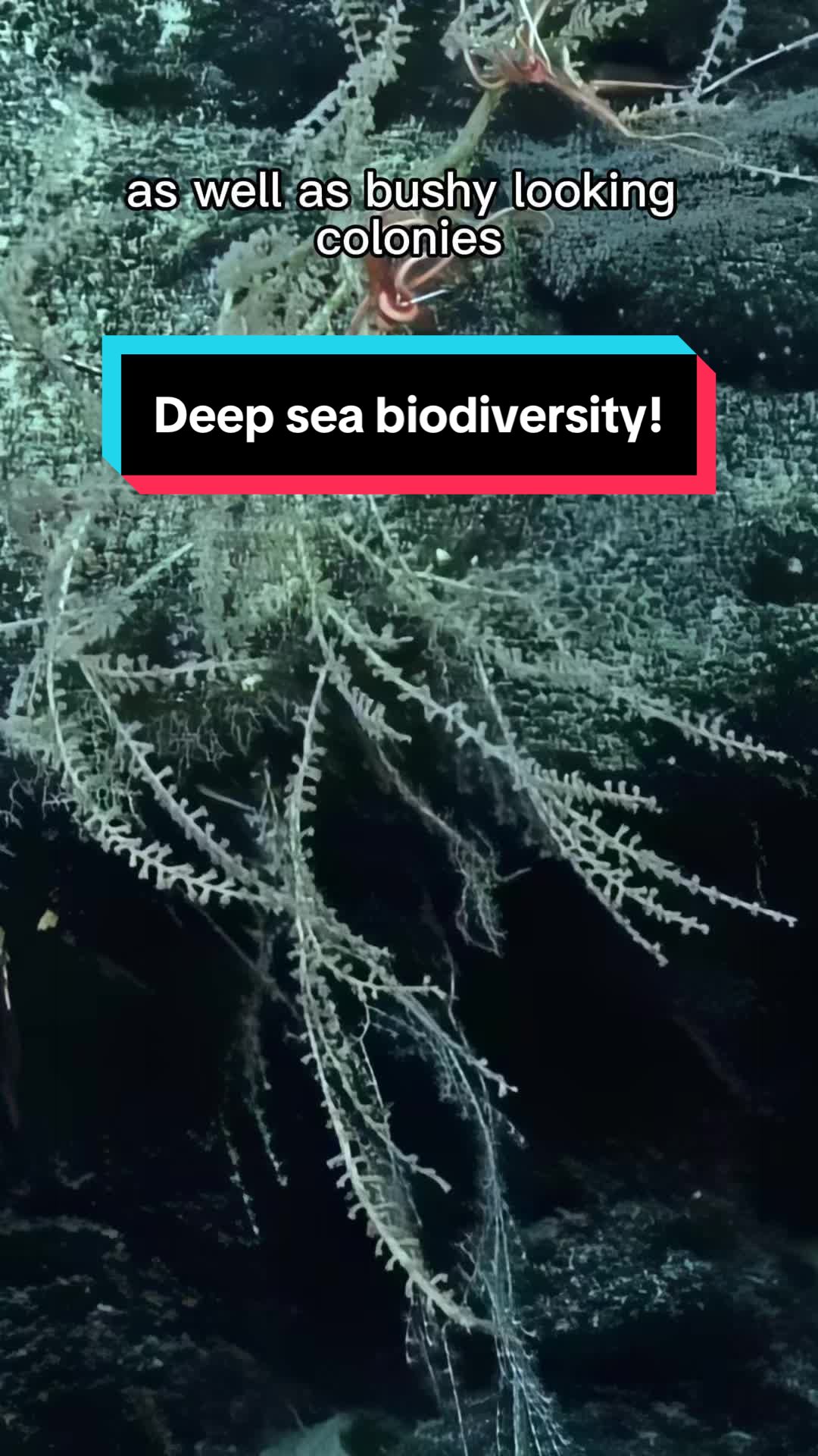 @Ocean Exploration Trust