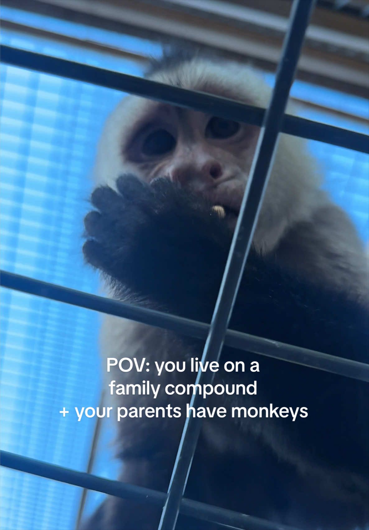 @Hayley and Mo Molina