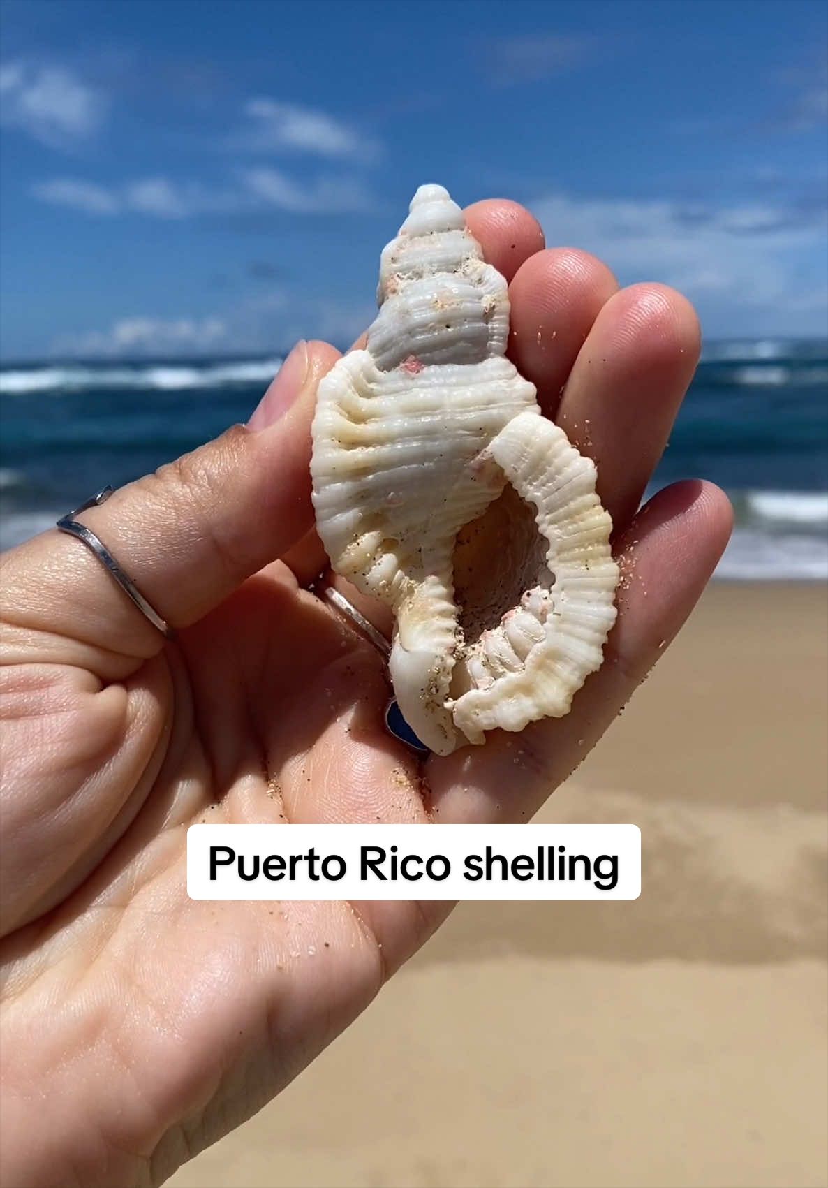 @🐚Jojo🌴