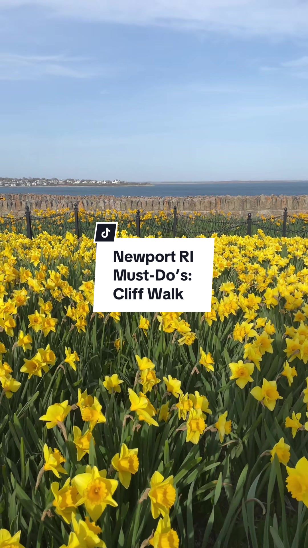 @Newport RI