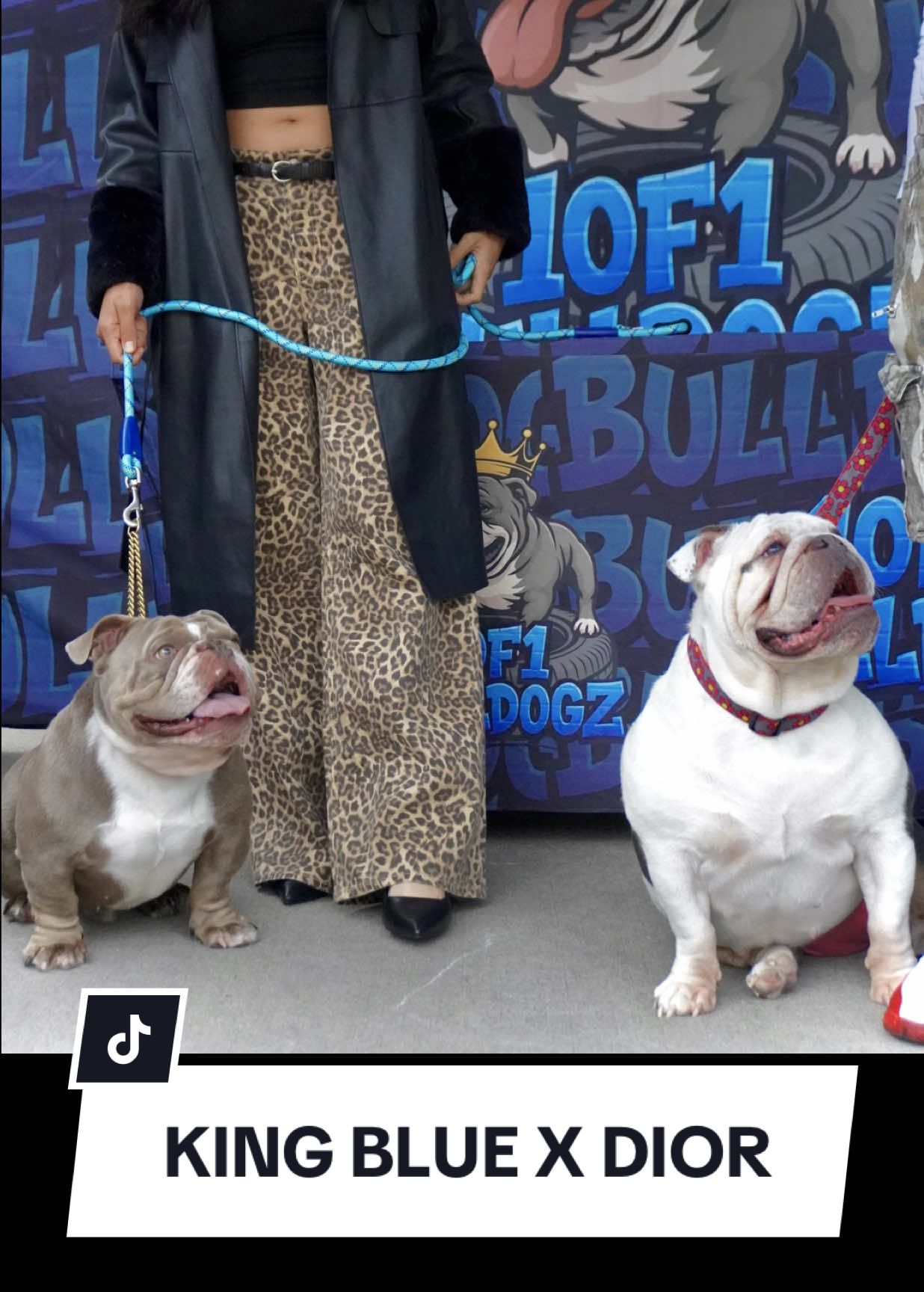 @1of1bulldogz