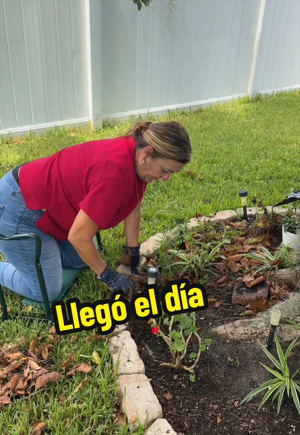 @Aprendiendo con Ana