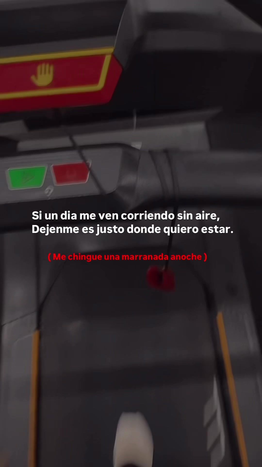 @Renata Garza