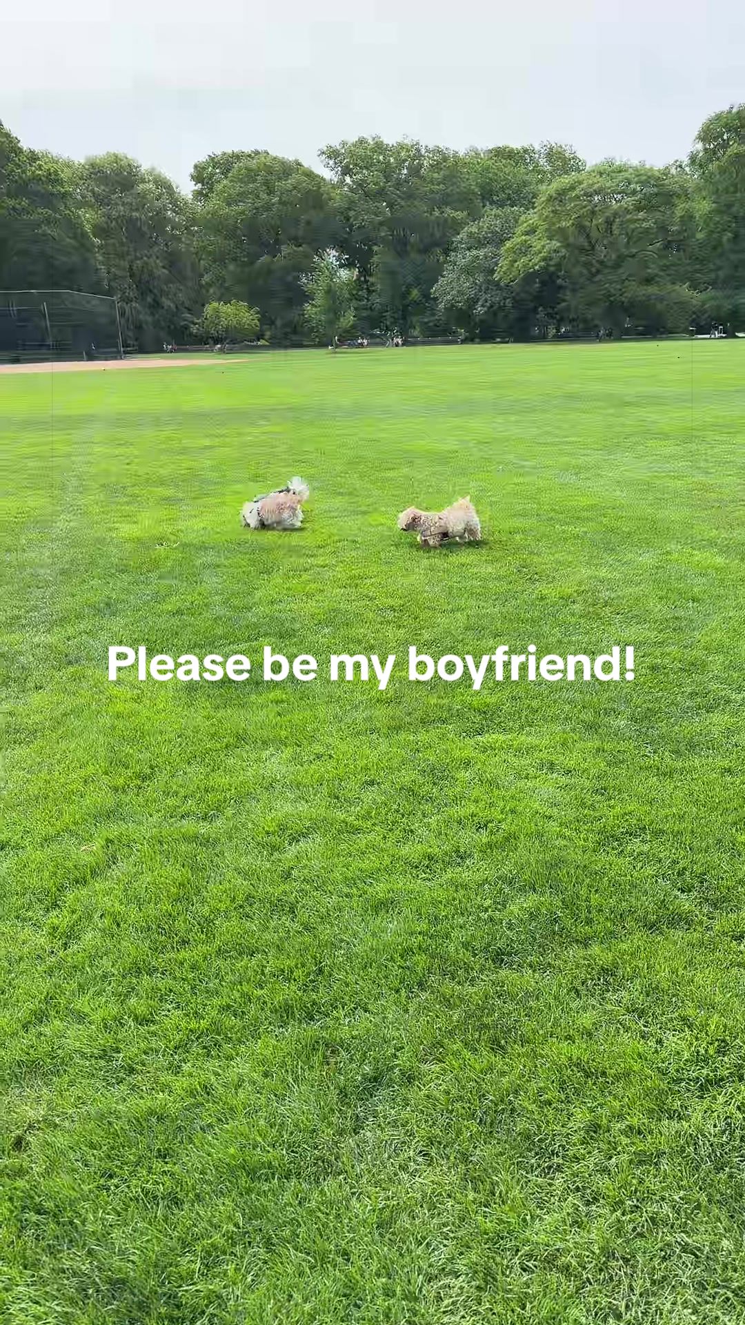 @luluandlola