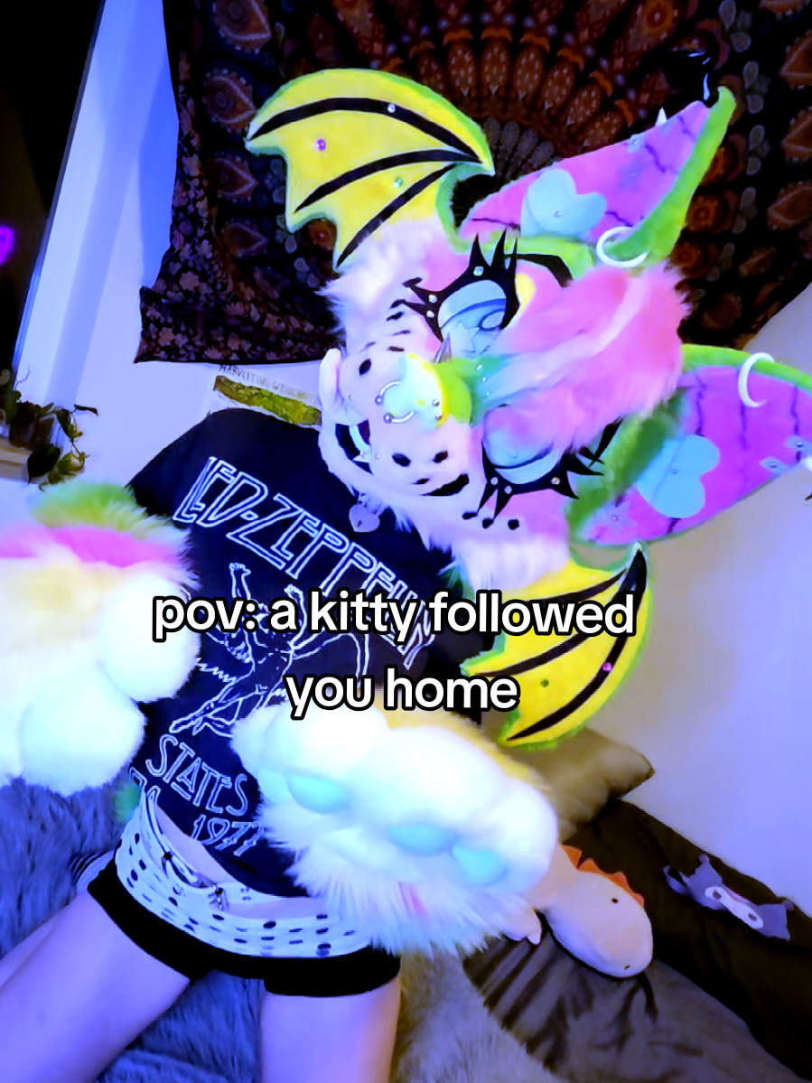 @🪲🪼isopawda🪼🪲