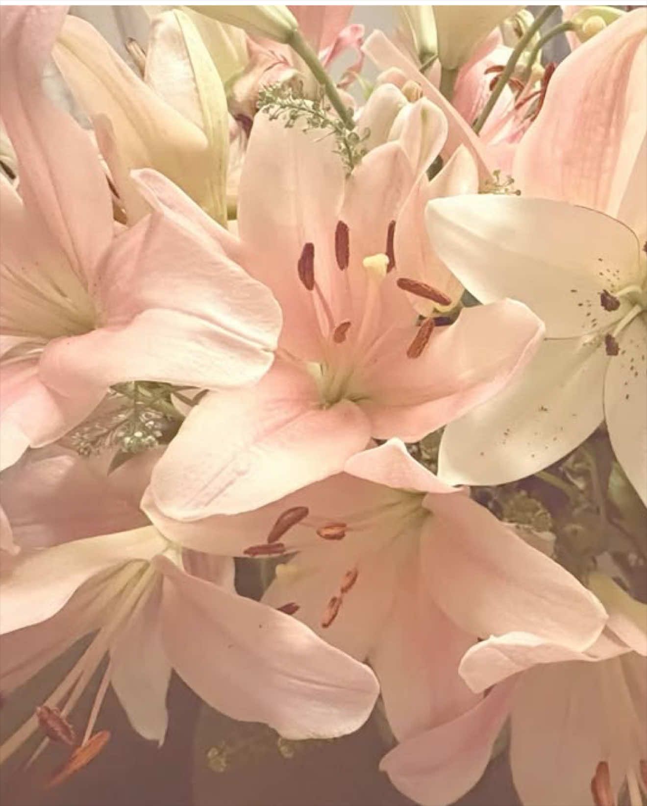 @🧚♀️