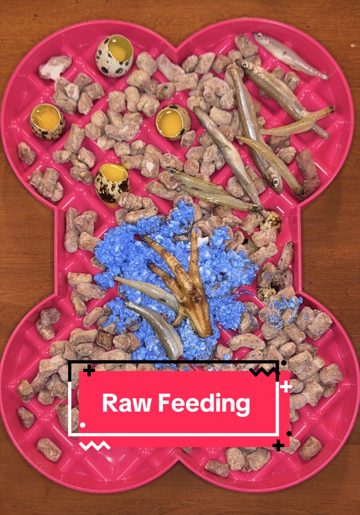 @Kayla Kowalski Nutrition