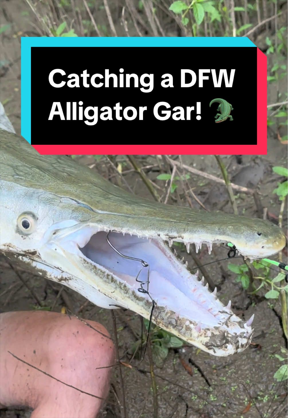 @Hunterdubs.fwtx