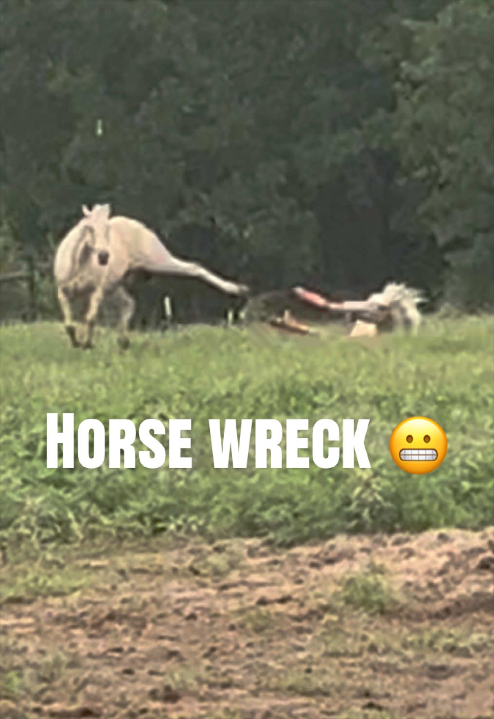 @haley&horses