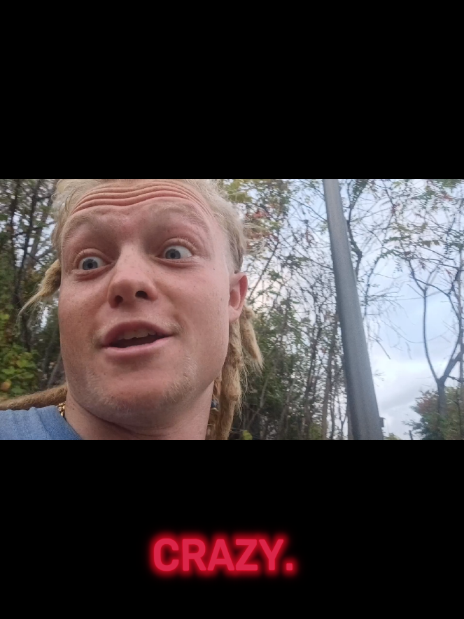 @Frenchy | music vlogger