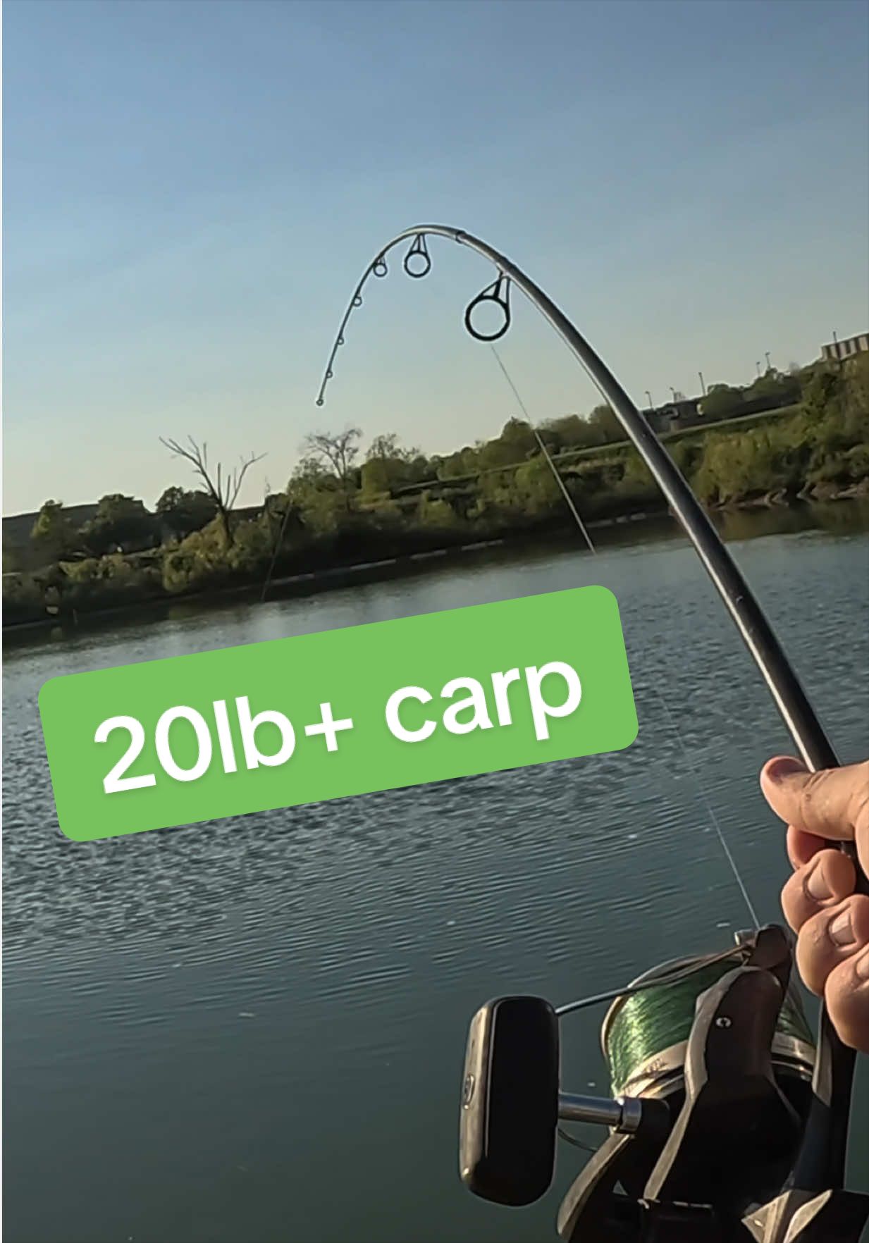 @Dunamis Angling